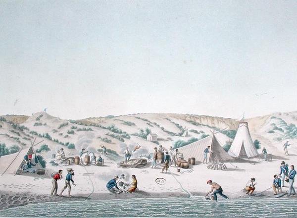 Baie des Chiens Marins, New Holland: The Camp of Uranie nära Ile Peron, från "Voyage Around the World on Corvettes de L