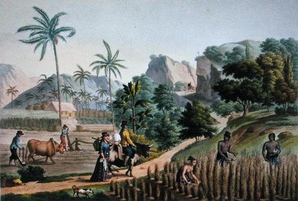 Island of Guam: Agricultural Works, från 