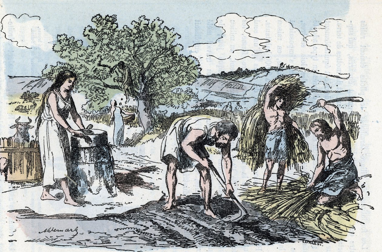 Vardagsliv i förhistorien: skådeplats för jordbruksarbete i järnåldern Gravyr från "" La nature et l