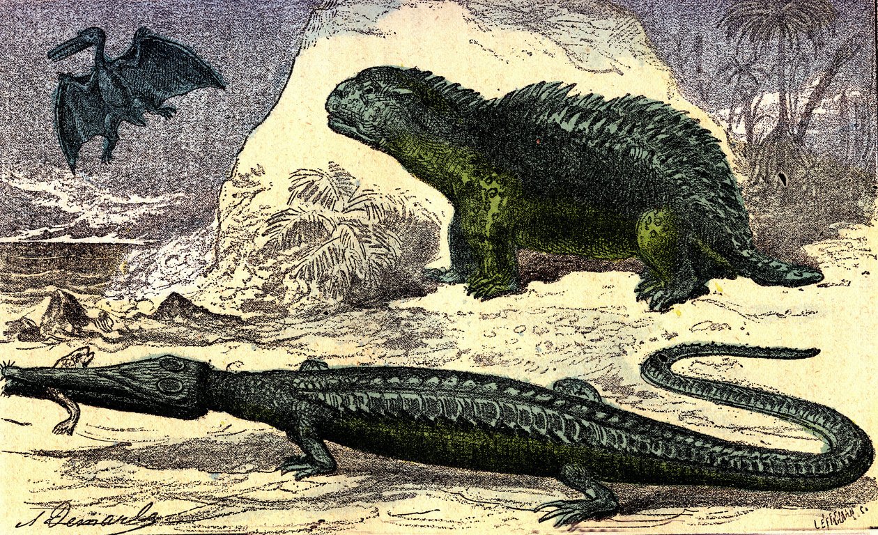 Förhistoria - Juraperioden: Teleosauren och Hyleosauren. Pterodactylen på övervåningen. Naturlig skapelse och levande varelser. Teckning av A. Demarle. 1885 av Alphonse Demarle