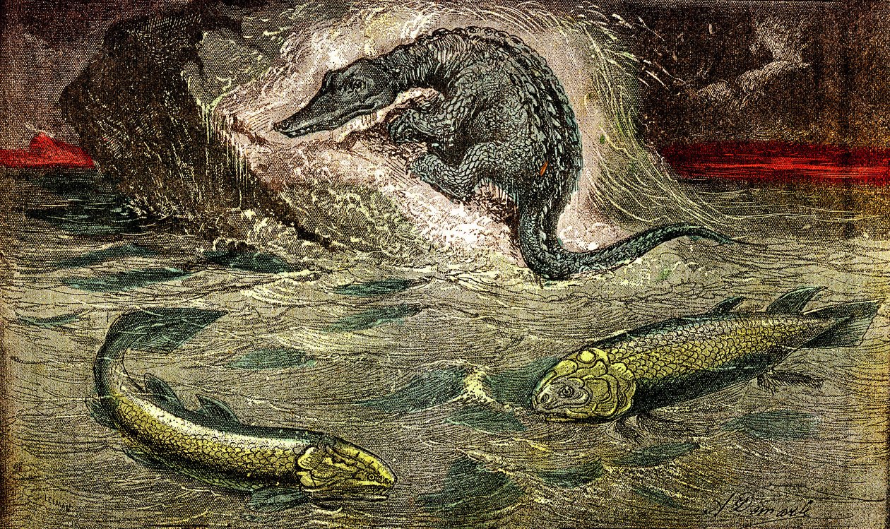 Övergång från fisk till reptiler: Proteosaurie (överst) reptil från fisk, period av kol. Holoptychius längst ner till vänster och L