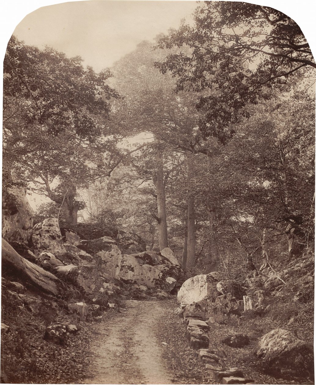 Fontainebleau,ca 1860-talet (foto) av Alphonse Francois Jeanrenaud