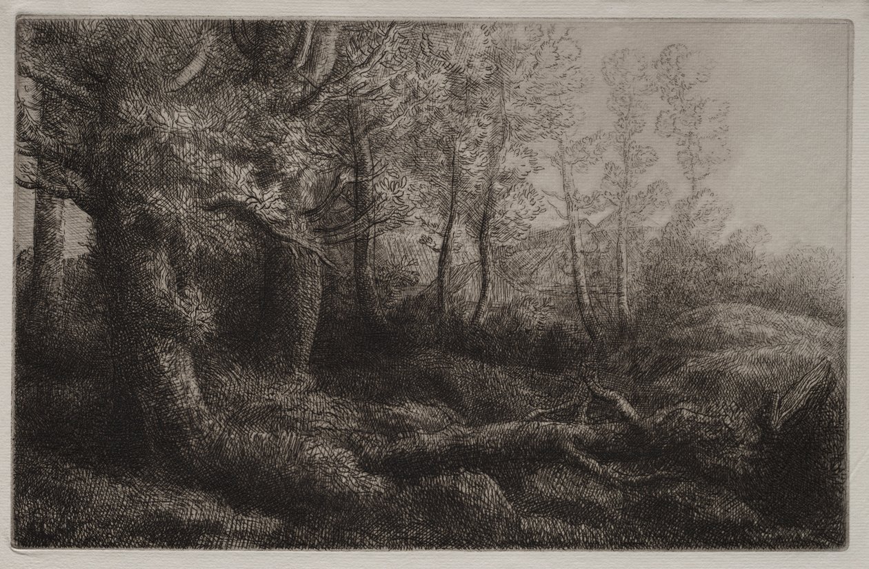 En skogsstudie av Alphonse Legros