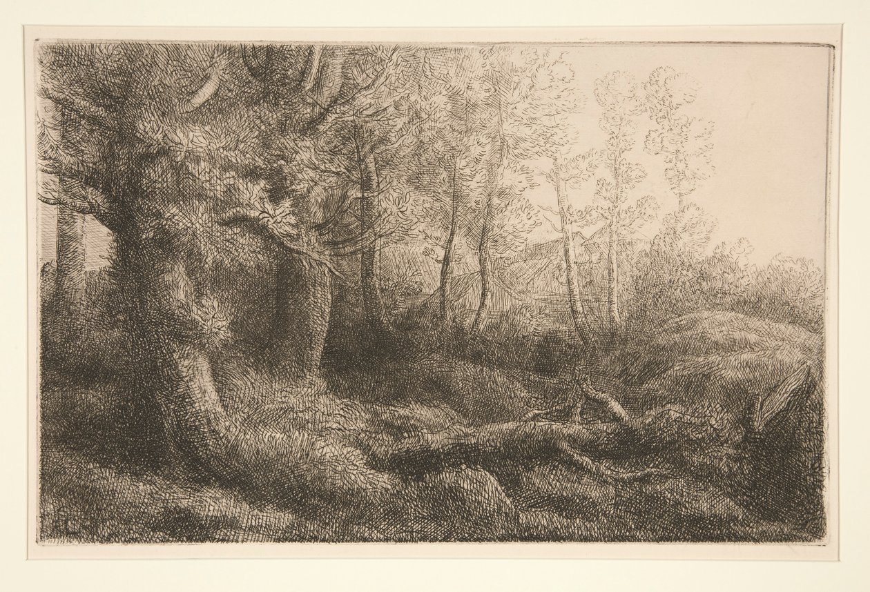 En skogsstudie av Alphonse Legros