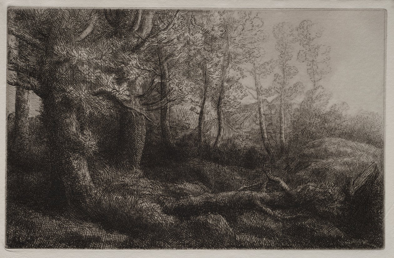 En skogsstudie. av Alphonse Legros