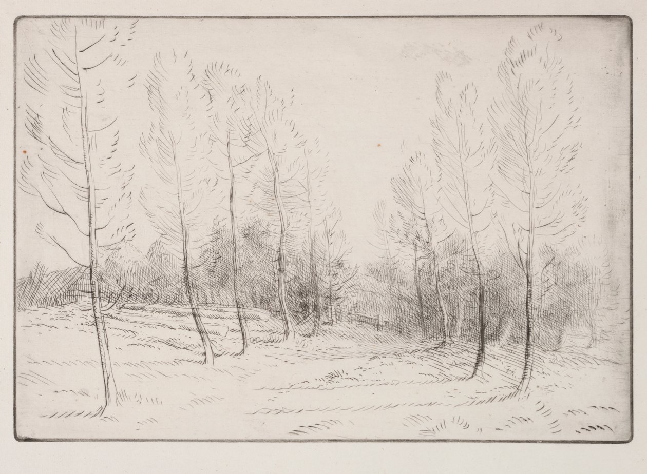 Avenue of Poplars av Alphonse Legros