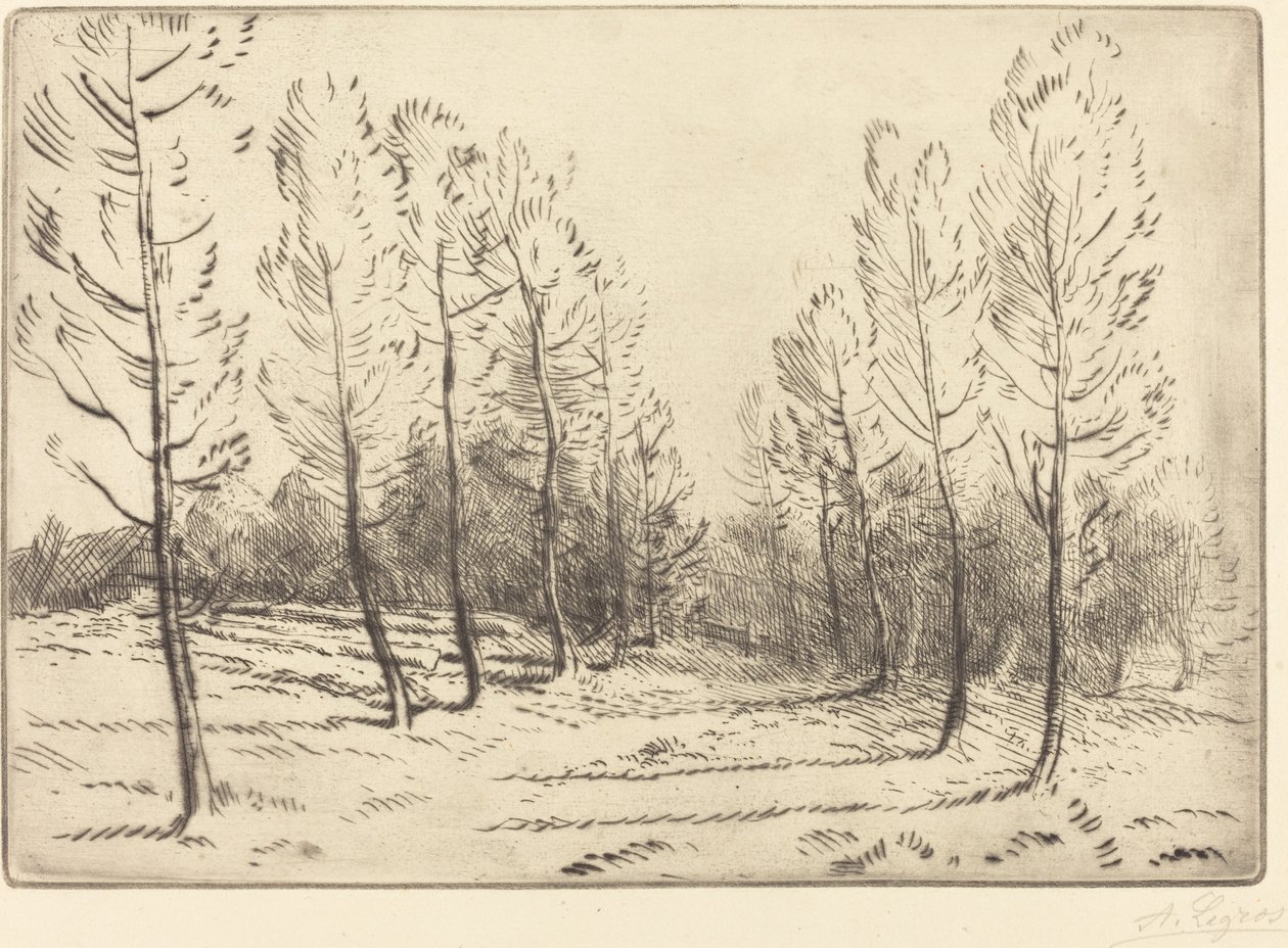 Avenue of Poplars Poplars gränd. av Alphonse Legros