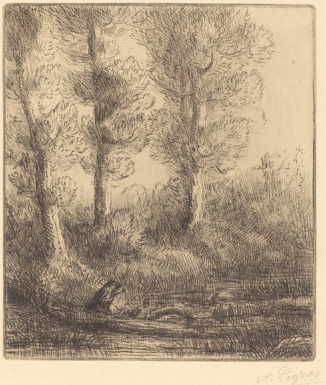 Bankerna av Saint-Pre Rive du Saint-Pre. av Alphonse Legros