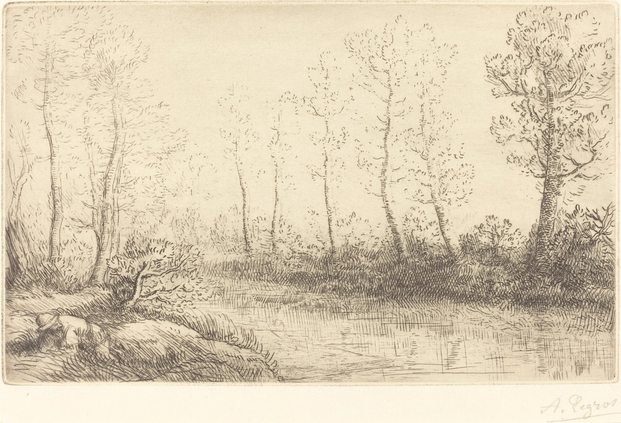 Björkträd: vattenkanten sett i morgonljus av Alphonse Legros