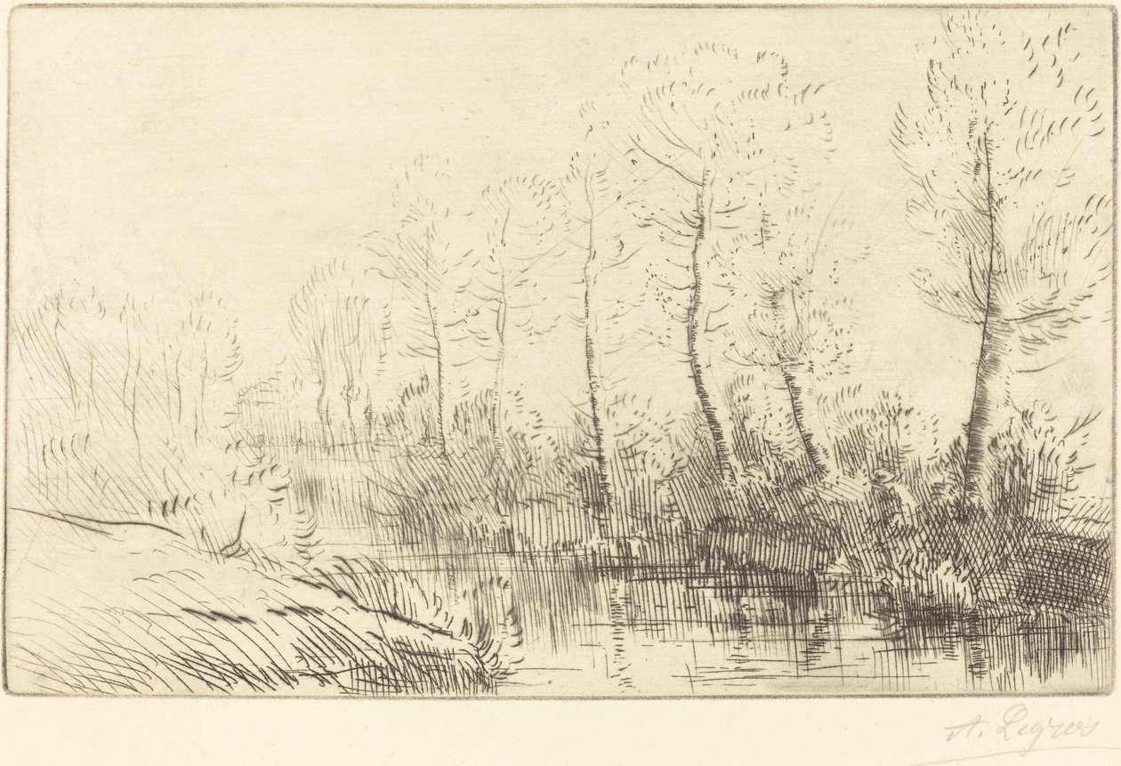 Björkträd: vattenkanten sett i morgonljus Björkträd: vattenkanten, morgoneffekt. av Alphonse Legros