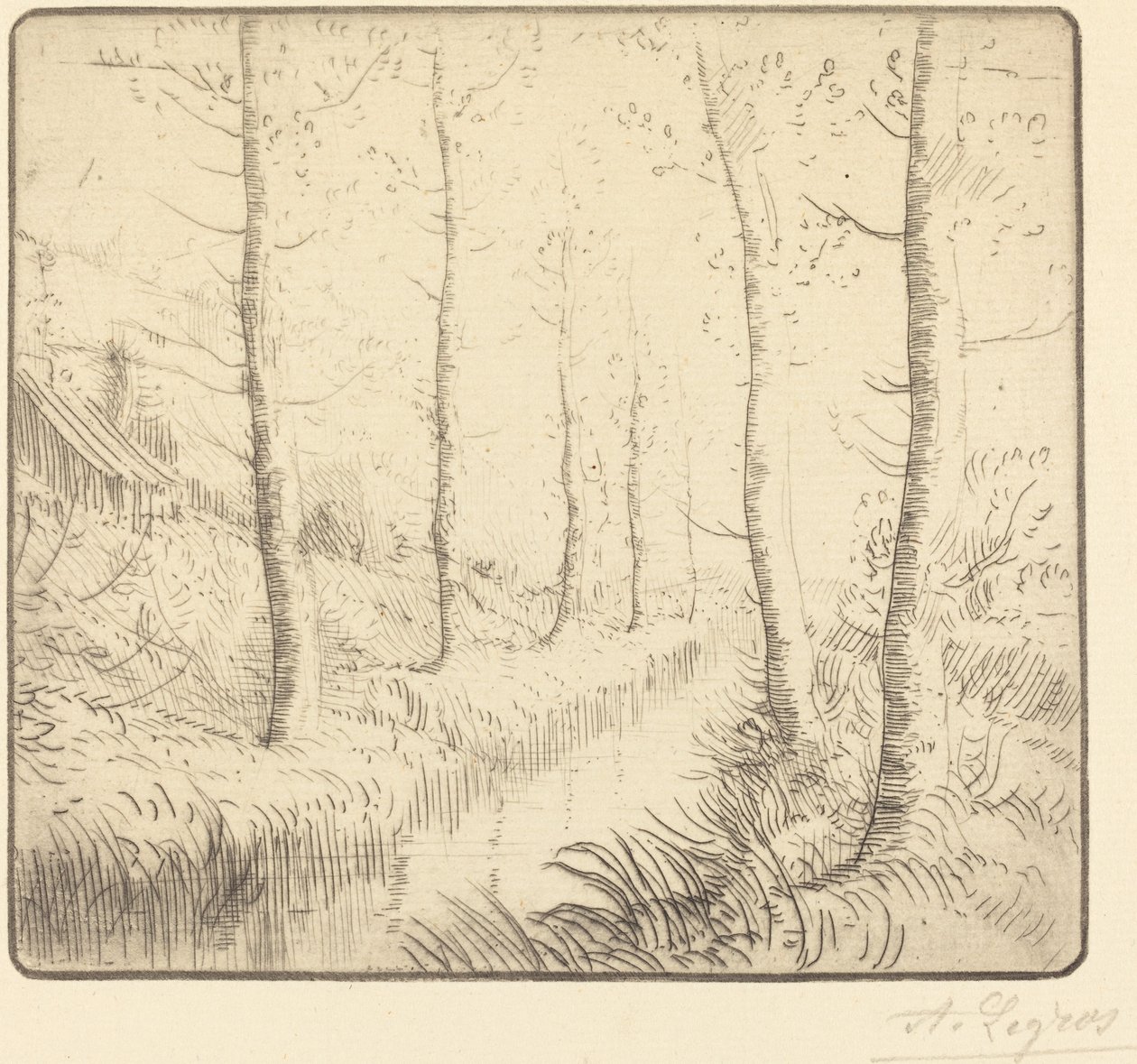 Björkar längs vattnet av Alphonse Legros