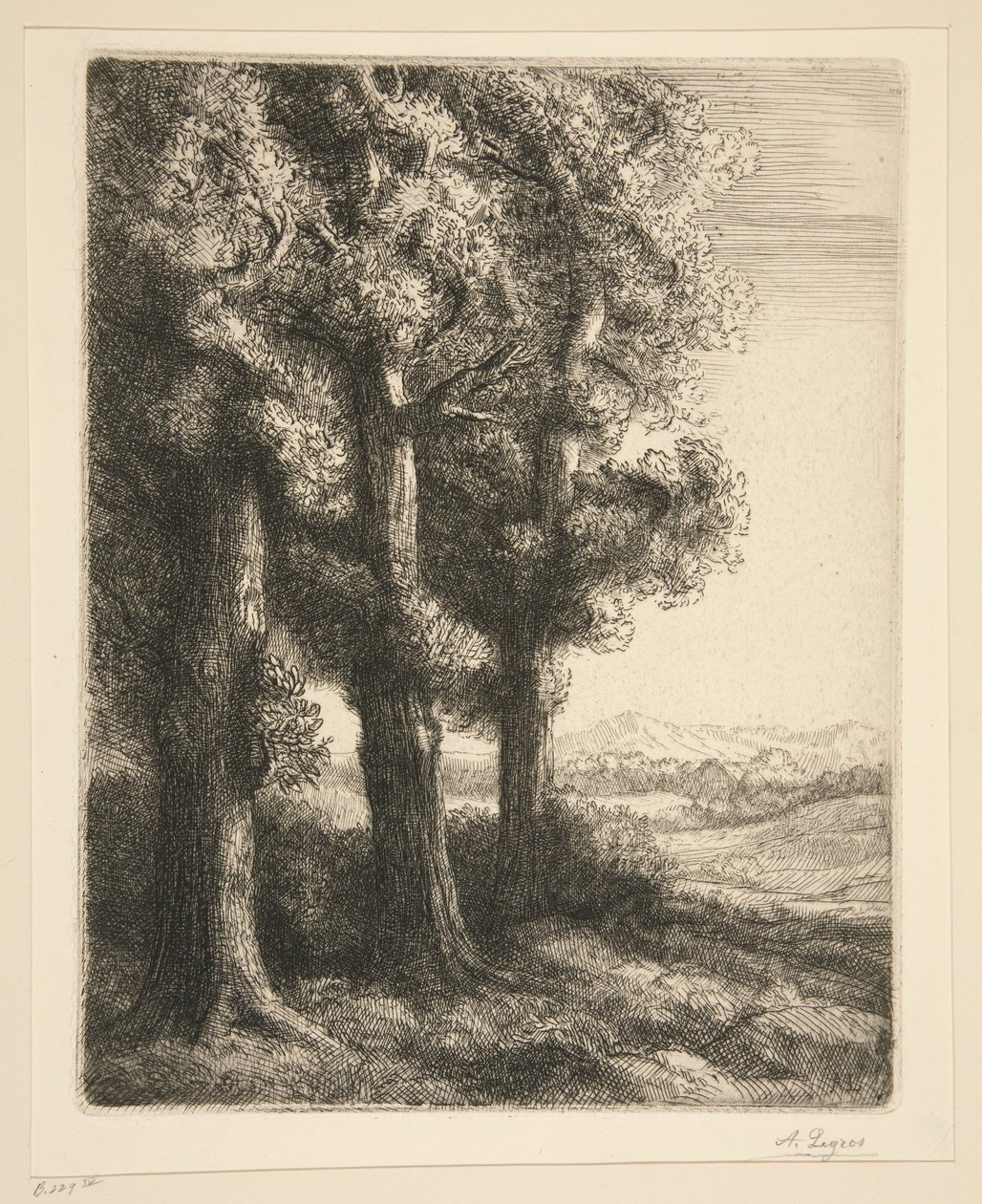 Ett hörn av en skog av Alphonse Legros
