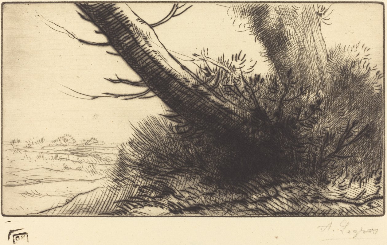 Hörn av en stig I hörnet av en stig. av Alphonse Legros