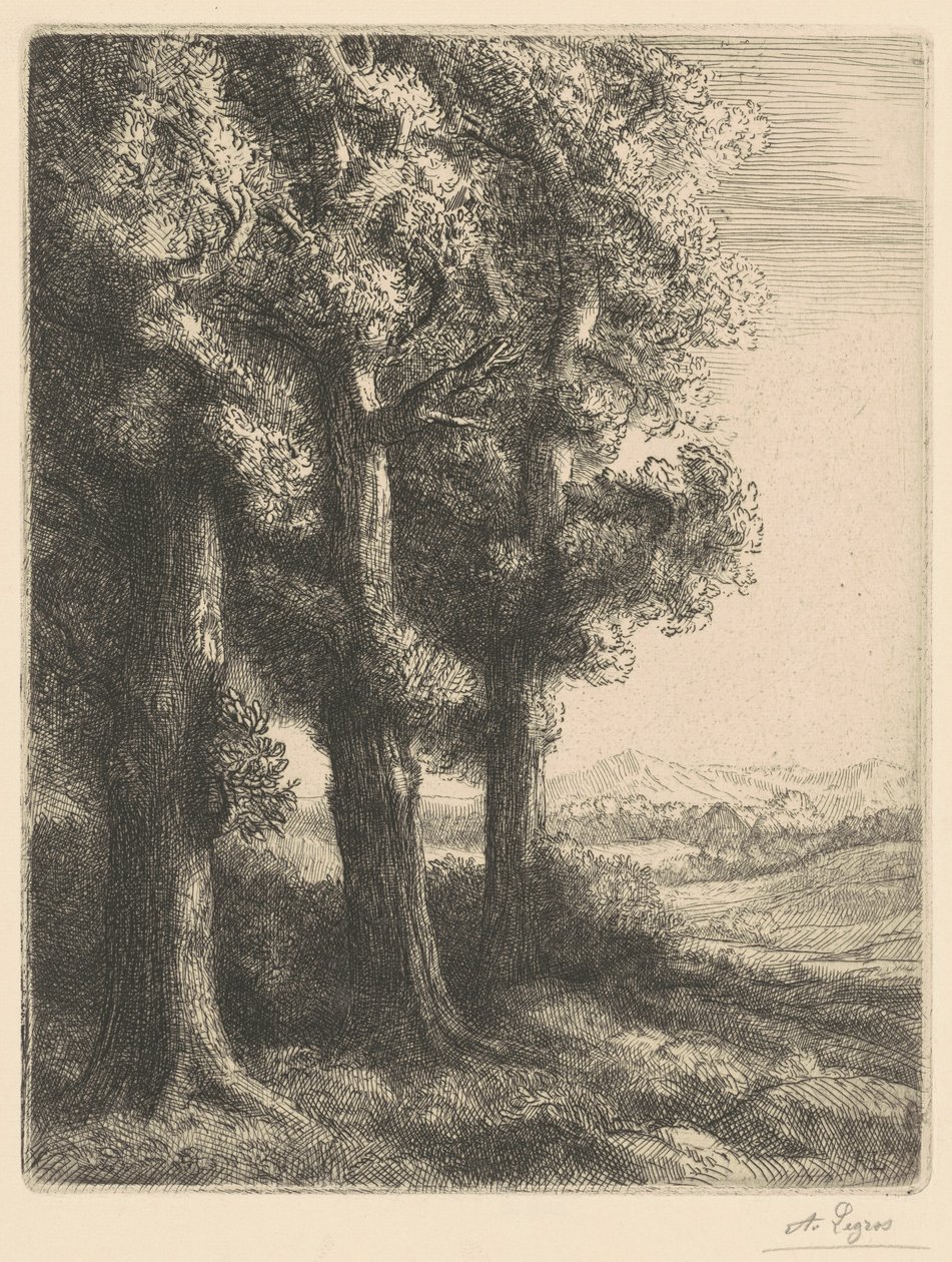 Corner of a Wood (En skogsudde) av Alphonse Legros