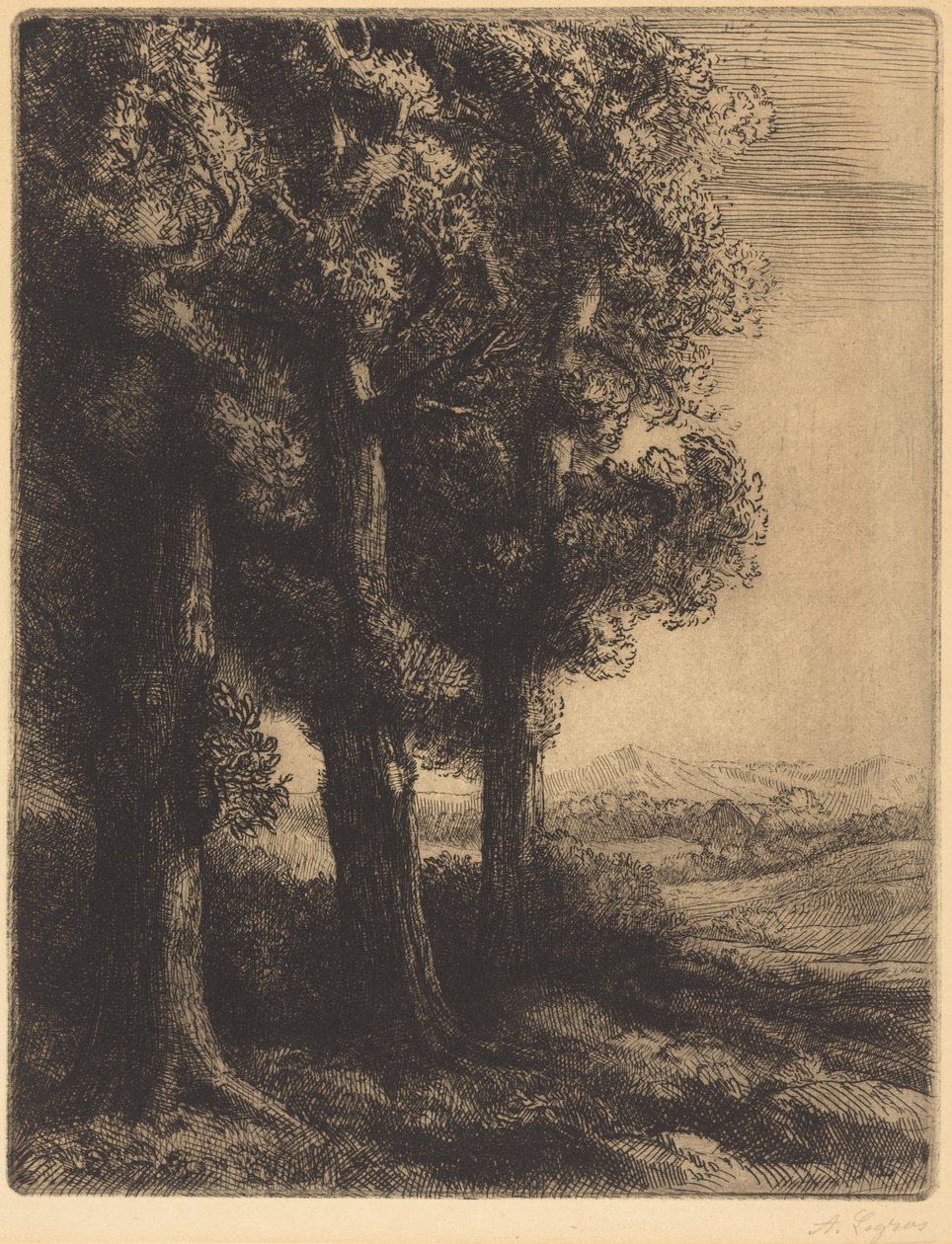 Corner of a Wood (En skogsudde) av Alphonse Legros