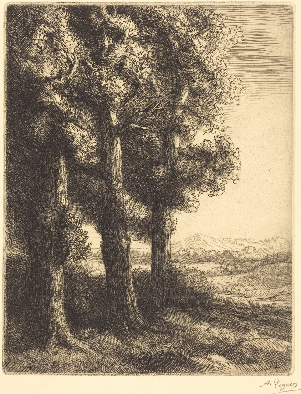 Corner of a Wood (En skogsudde) av Alphonse Legros