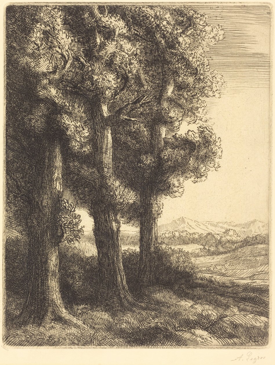 Corner of a Wood (En skogsudde) av Alphonse Legros