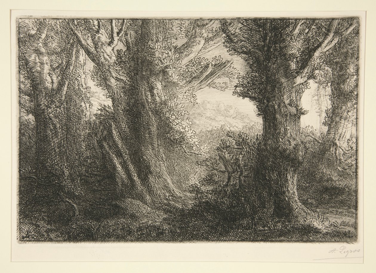Dans la foret de Conteville (I skogen av Conteville) av Alphonse Legros