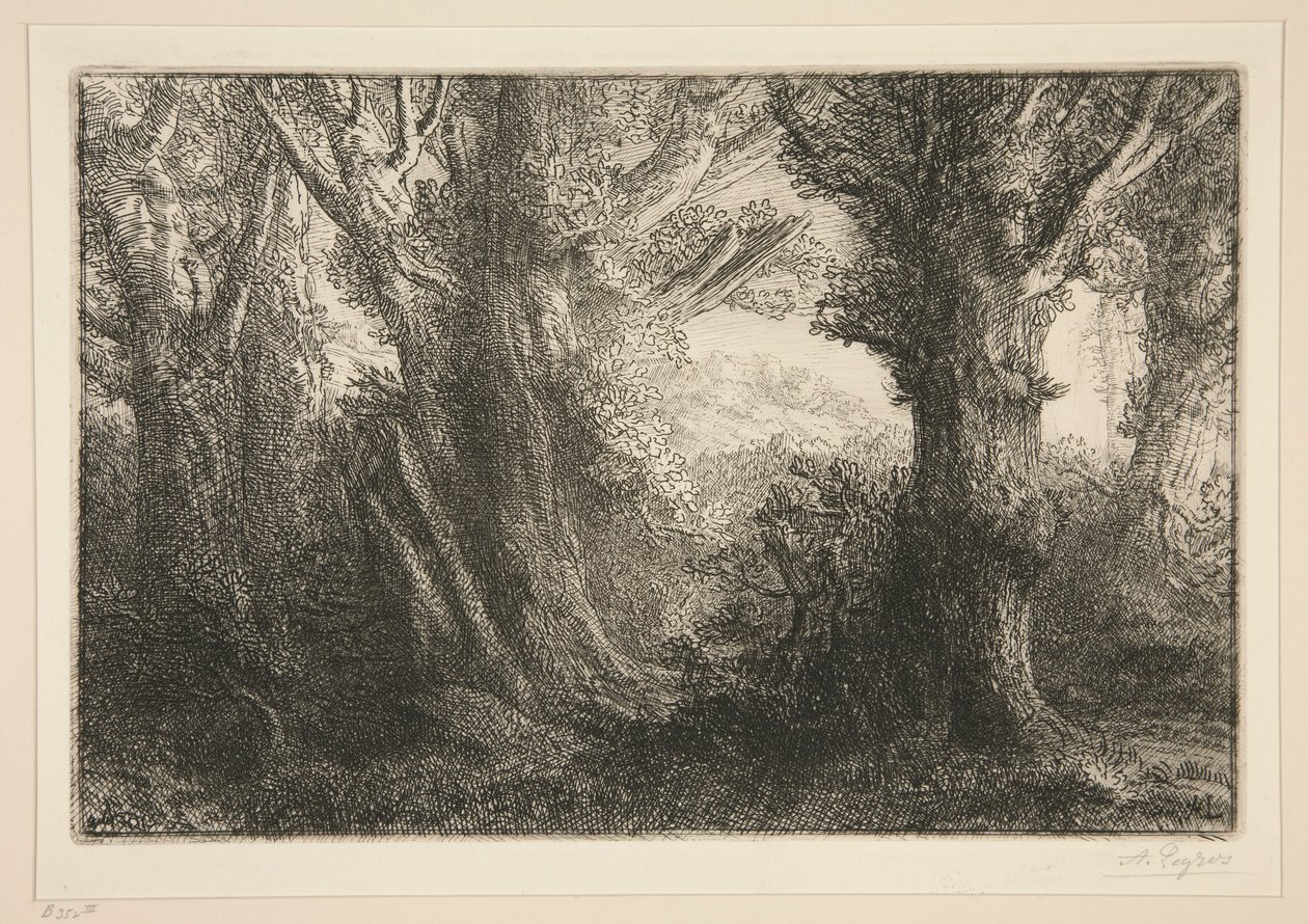 Dans la foret de Conteville (In the Forest of Conteville0 av Alphonse Legros