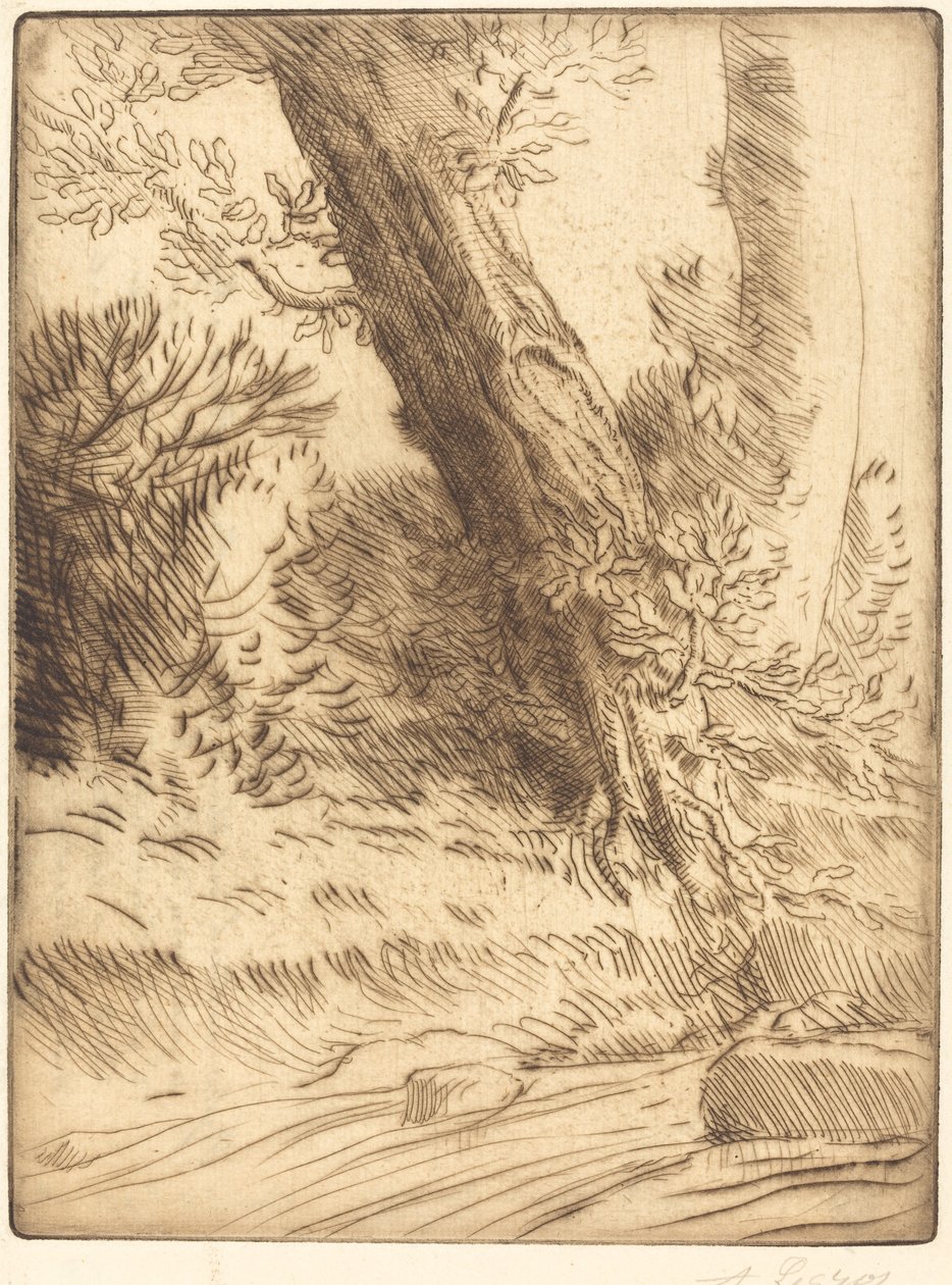 Kanten av en bäck Bord de ruisseau. av Alphonse Legros