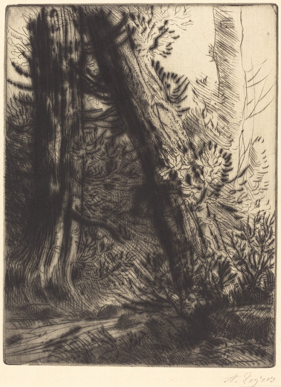 Kanten av en bäck Bord de ruisseau. av Alphonse Legros