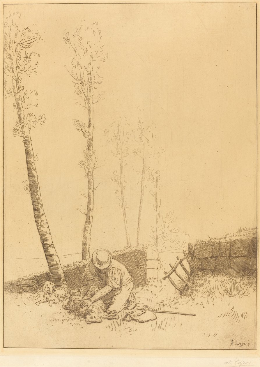 Hitta fåret Le Mouton retrouve. av Alphonse Legros