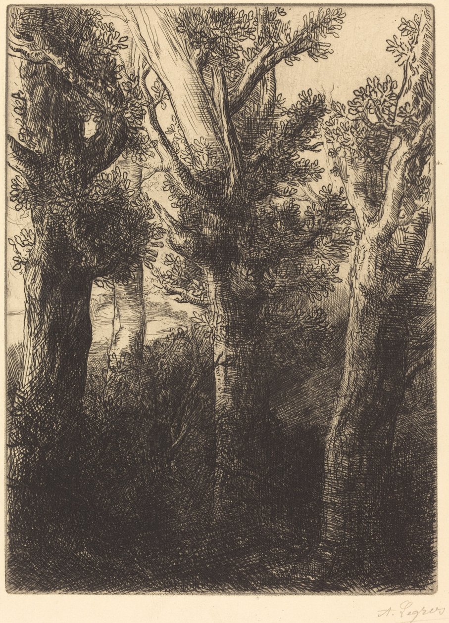 German Forest, Downley av Alphonse Legros