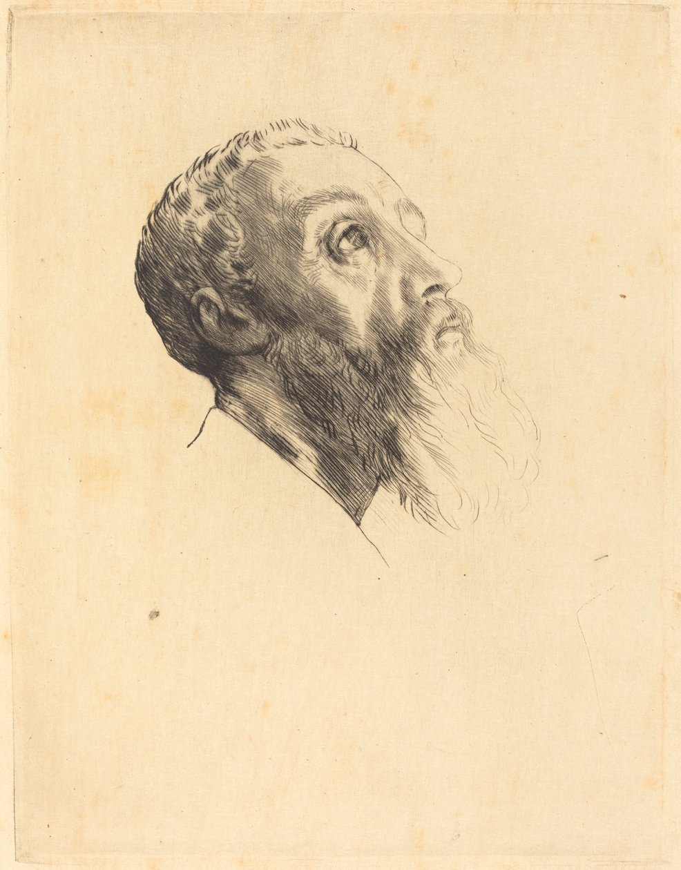 Chef för en modell av Alphonse Legros
