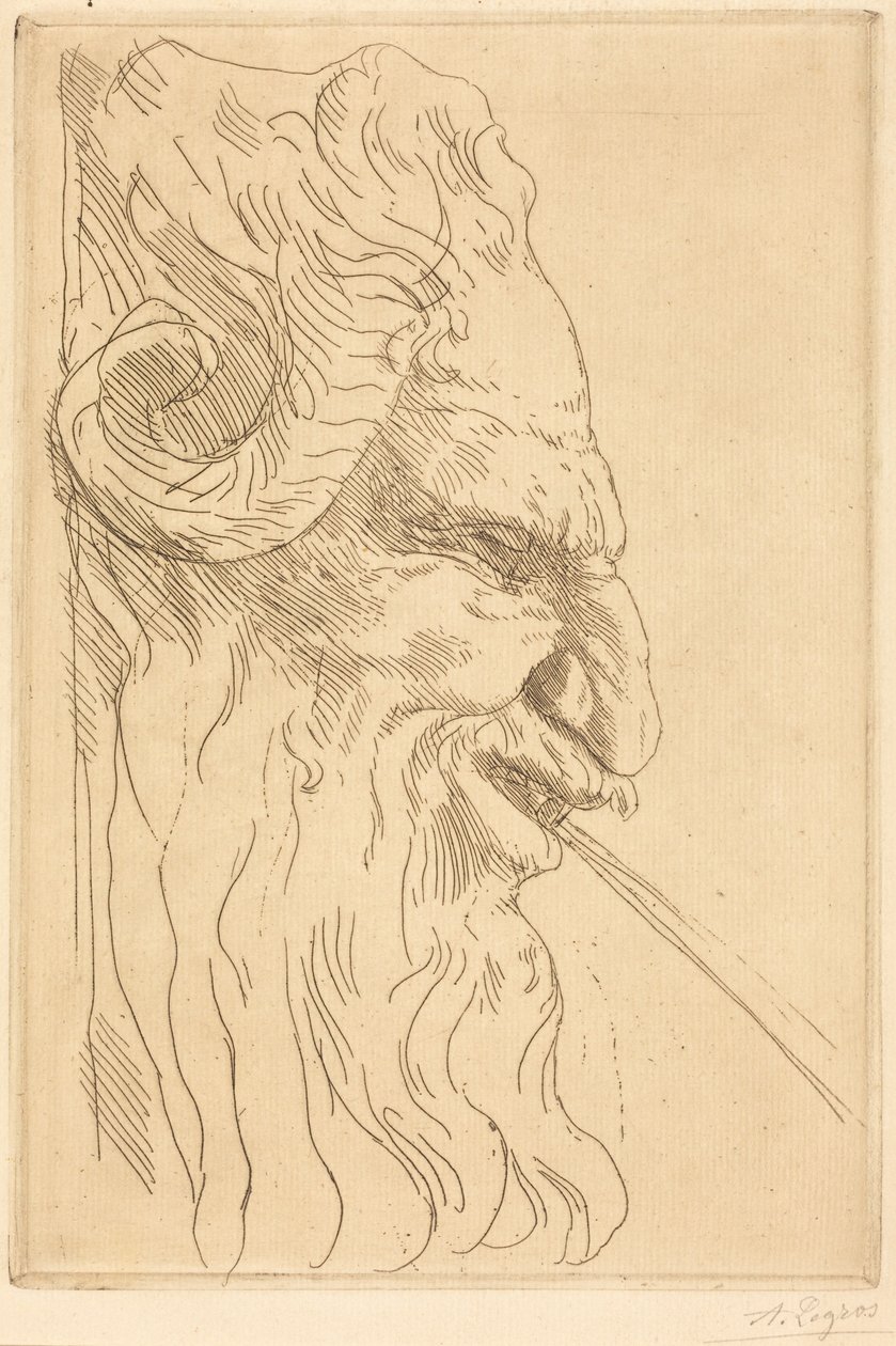 Huvud av en satyr av Alphonse Legros