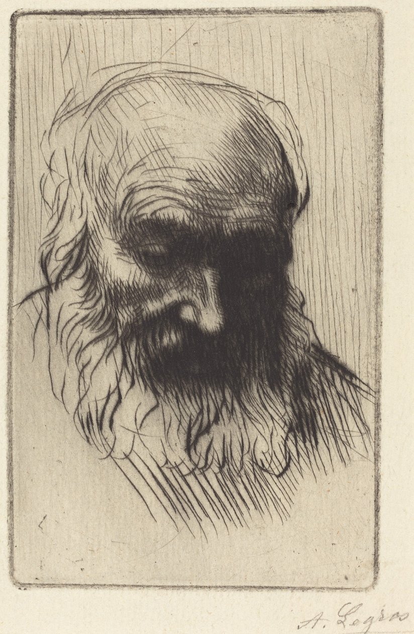 En gammal mans huvud (Etude de tete) av Alphonse Legros
