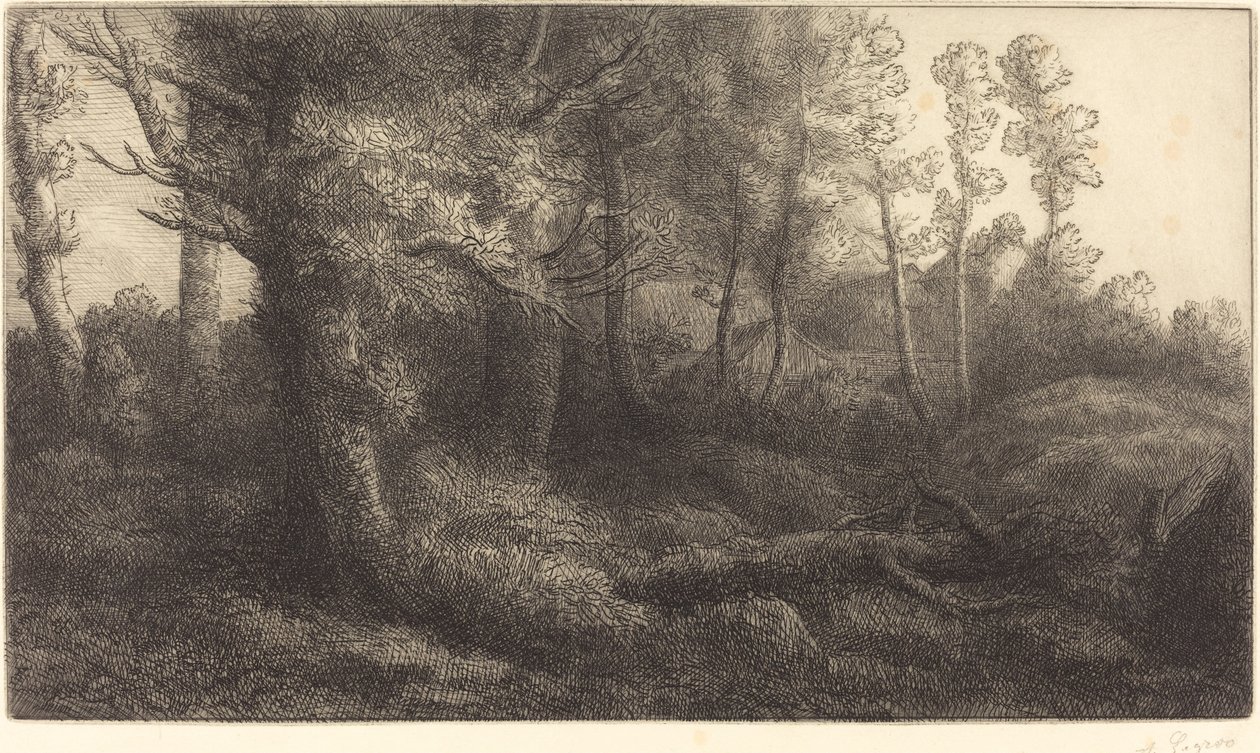 I skogen Lisiere de foret. av Alphonse Legros