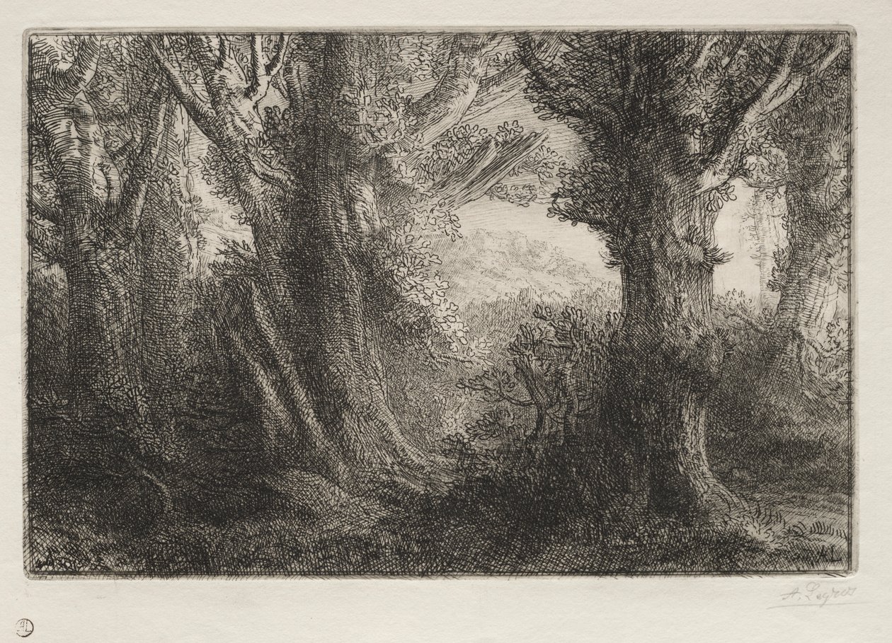I skogen vid Conteville. av Alphonse Legros