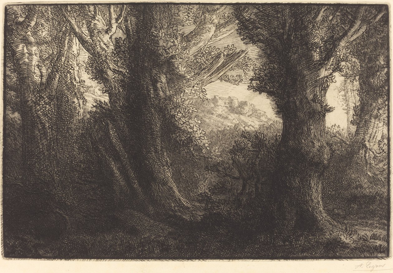I skogen av Conteville (Dans la foret de Conteville) av Alphonse Legros