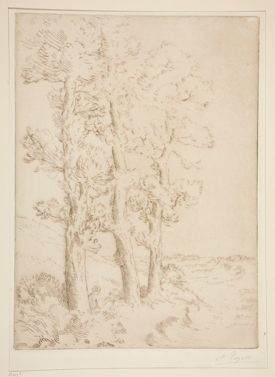 Kvinna som läser: Lektion under träden av Alphonse Legros