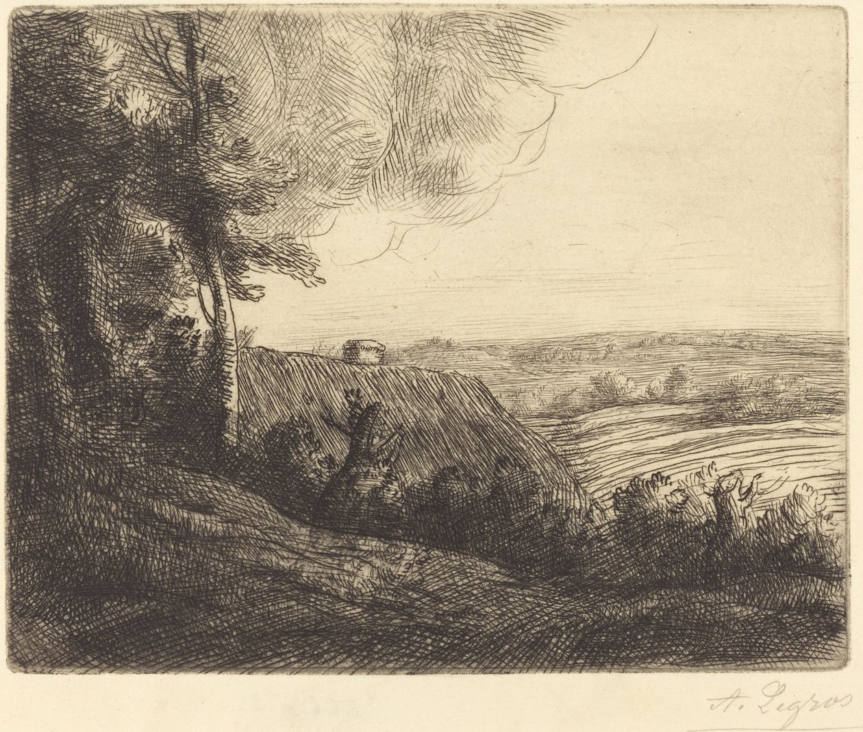 Landskap: Vägen till Horville Paysage: Chemin d