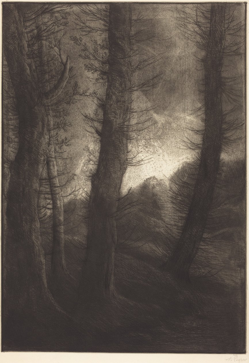 Stora träd mot solen  (De stora träden: kvällseffekt) av Alphonse Legros