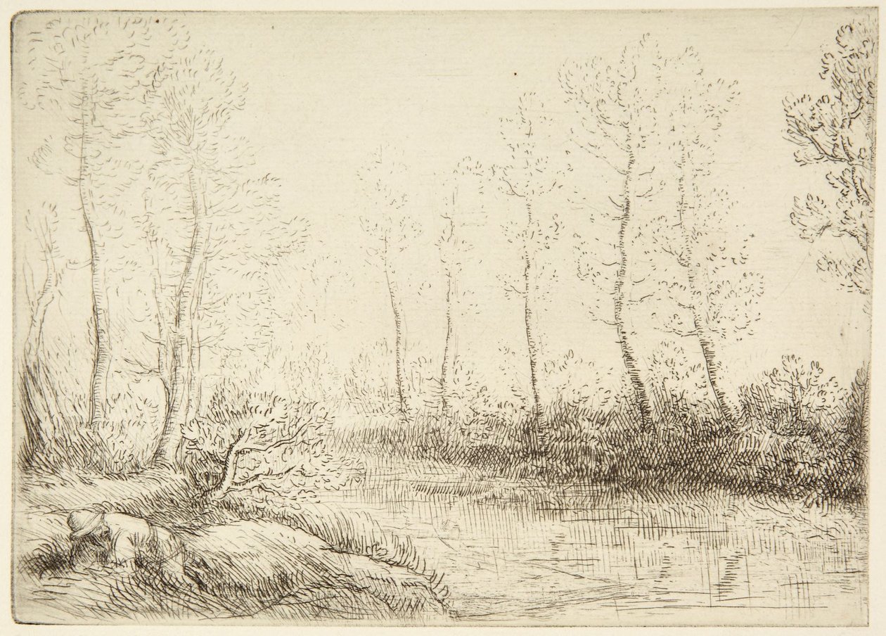 Björkarna av Alphonse Legros