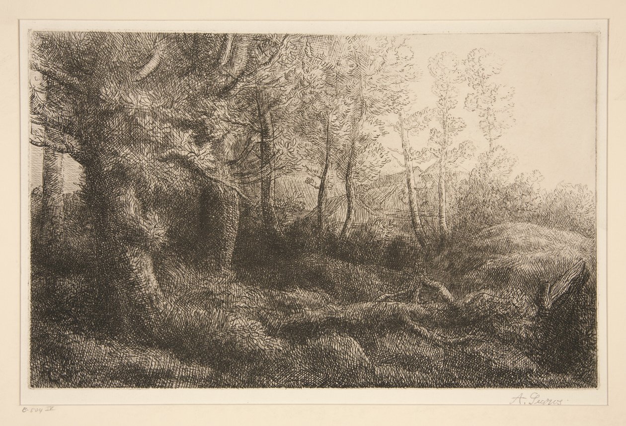 Skogsbryn av Alphonse Legros