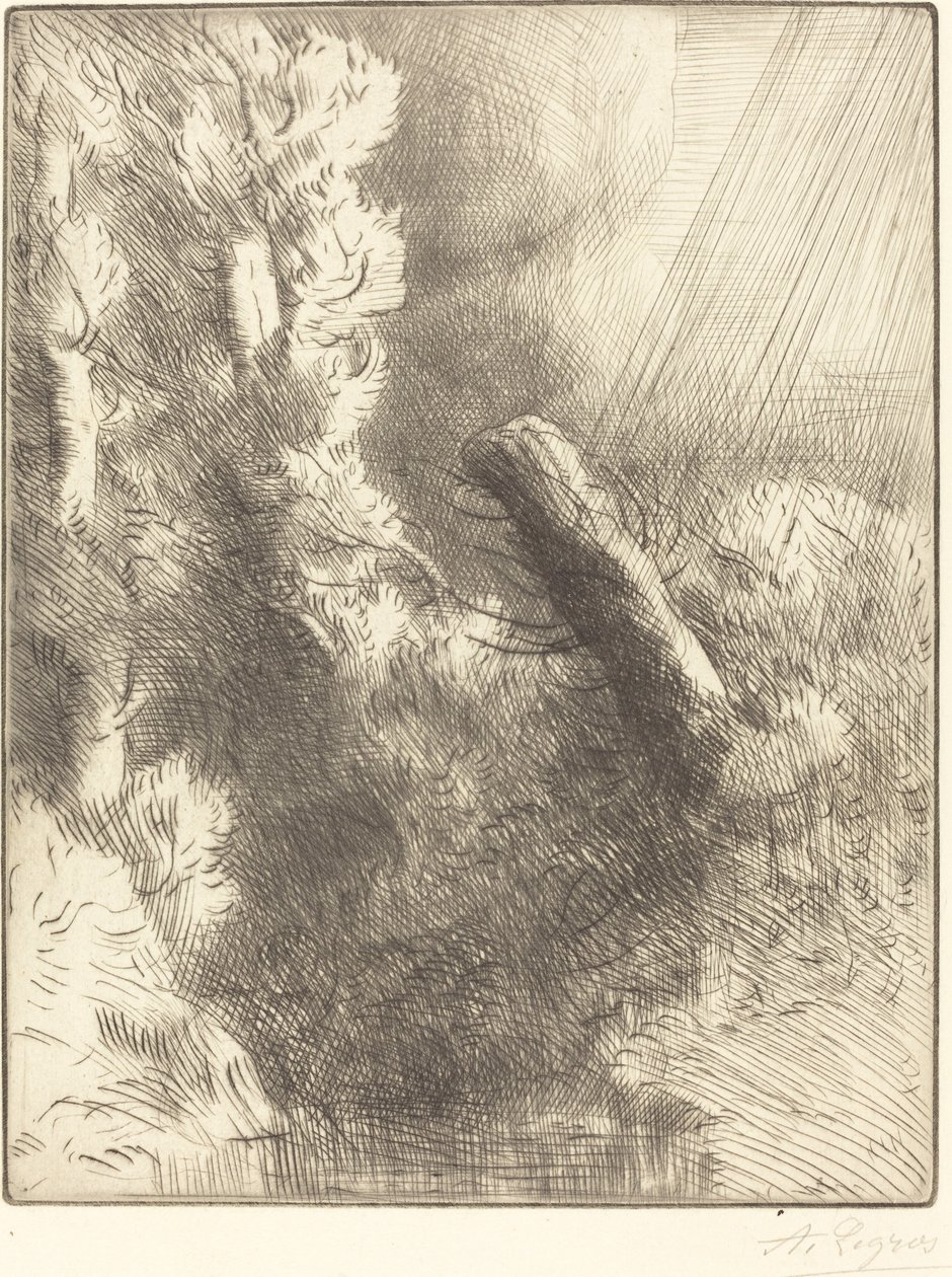 Minnen från Fountainebleau i regnet av Alphonse Legros