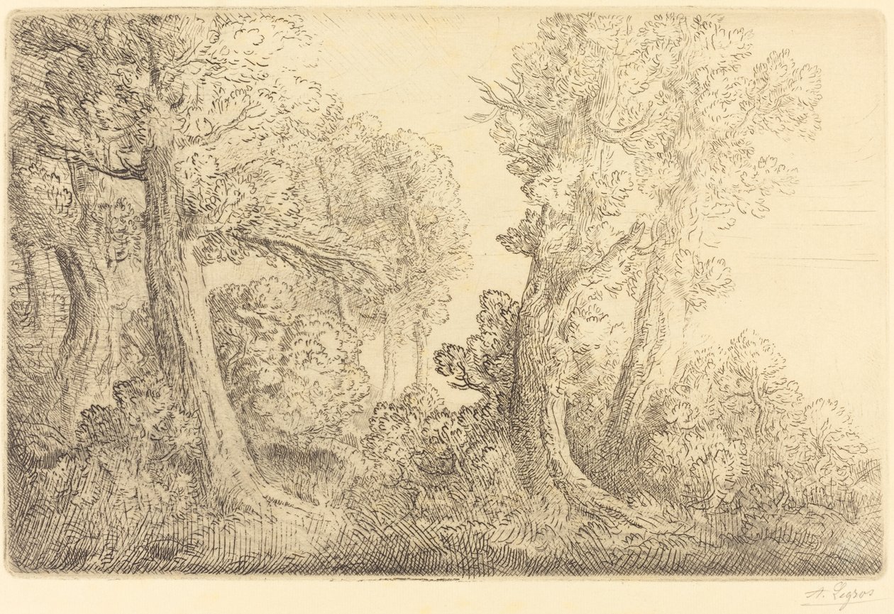 Nära skogen, Veronne (Pres du bois, Veronne) av Alphonse Legros