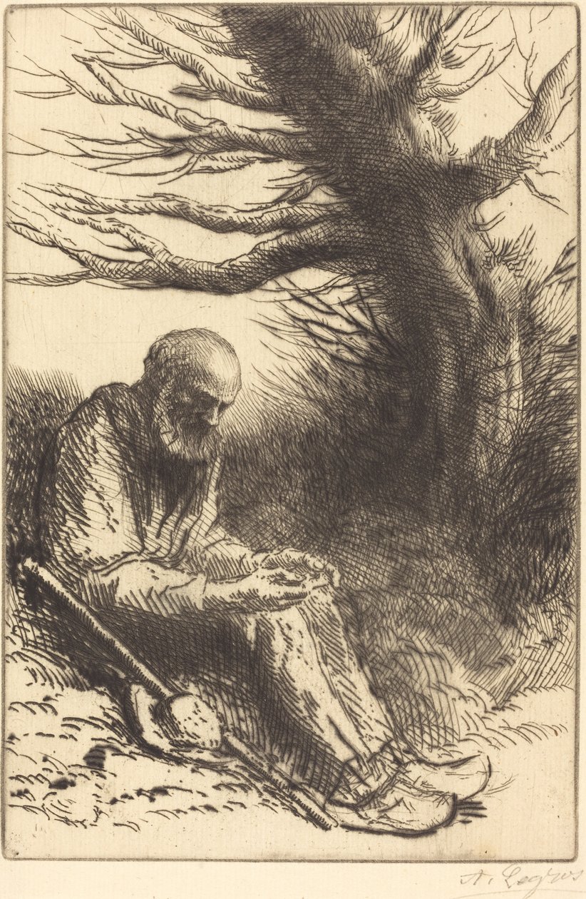 Gubben, gammalt träd Gubben, gammalt träd. av Alphonse Legros