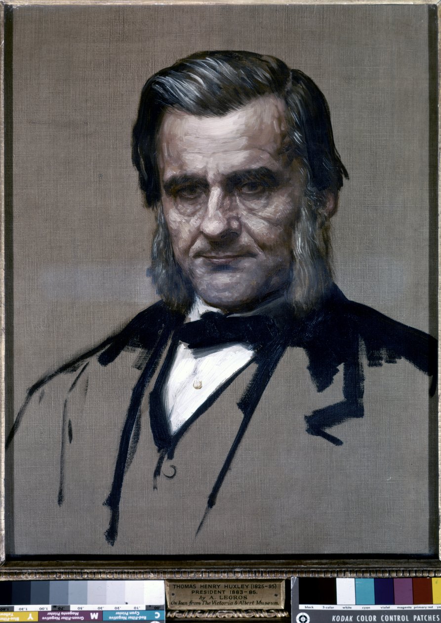 Porträtt av Thomas Henry Huxley (olja på duk) av Alphonse Legros