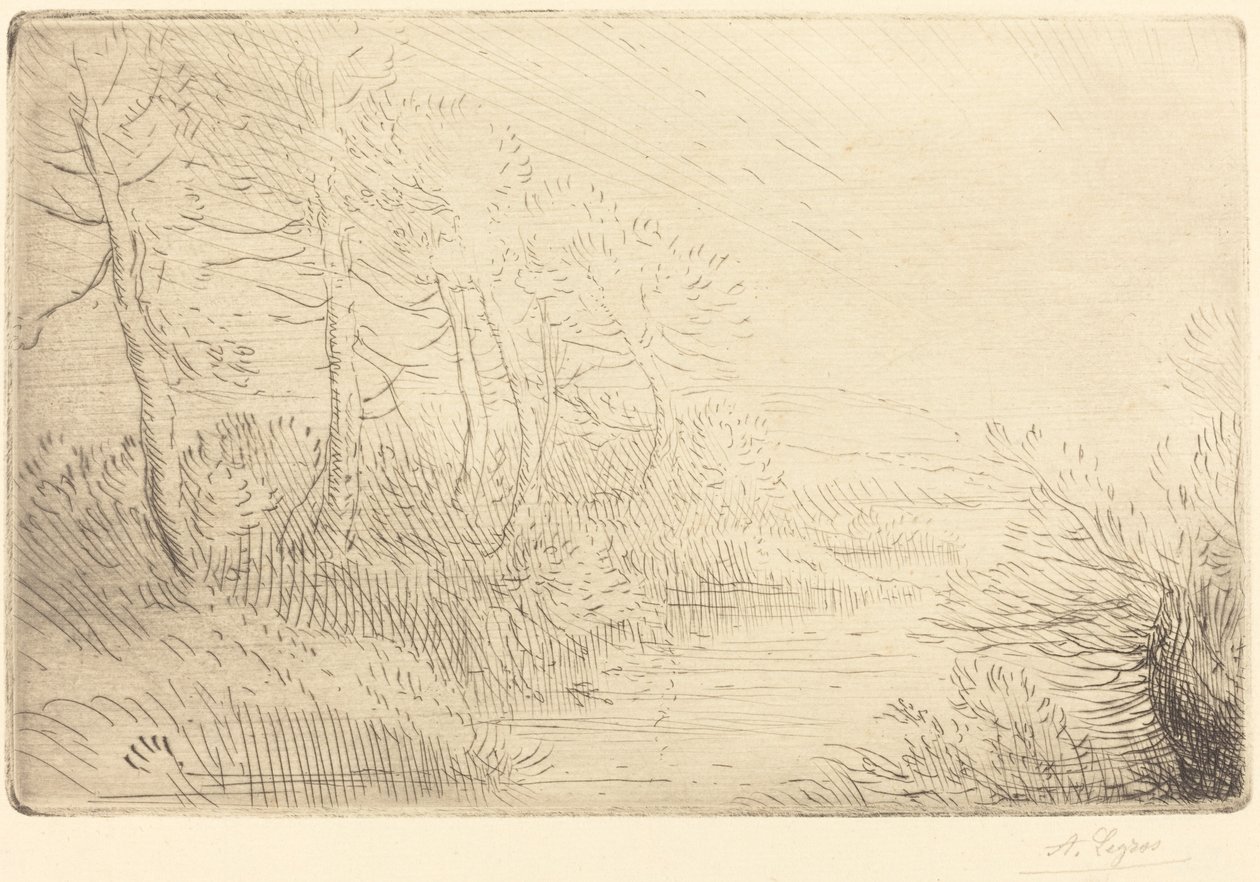Riverbank Bord de la riviere. av Alphonse Legros