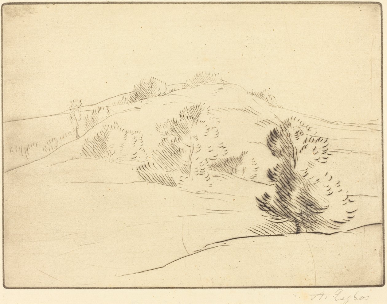 Small Hill Le coteau. av Alphonse Legros