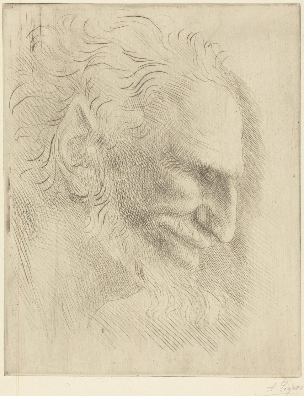 Studie till en mans huvud av Alphonse Legros