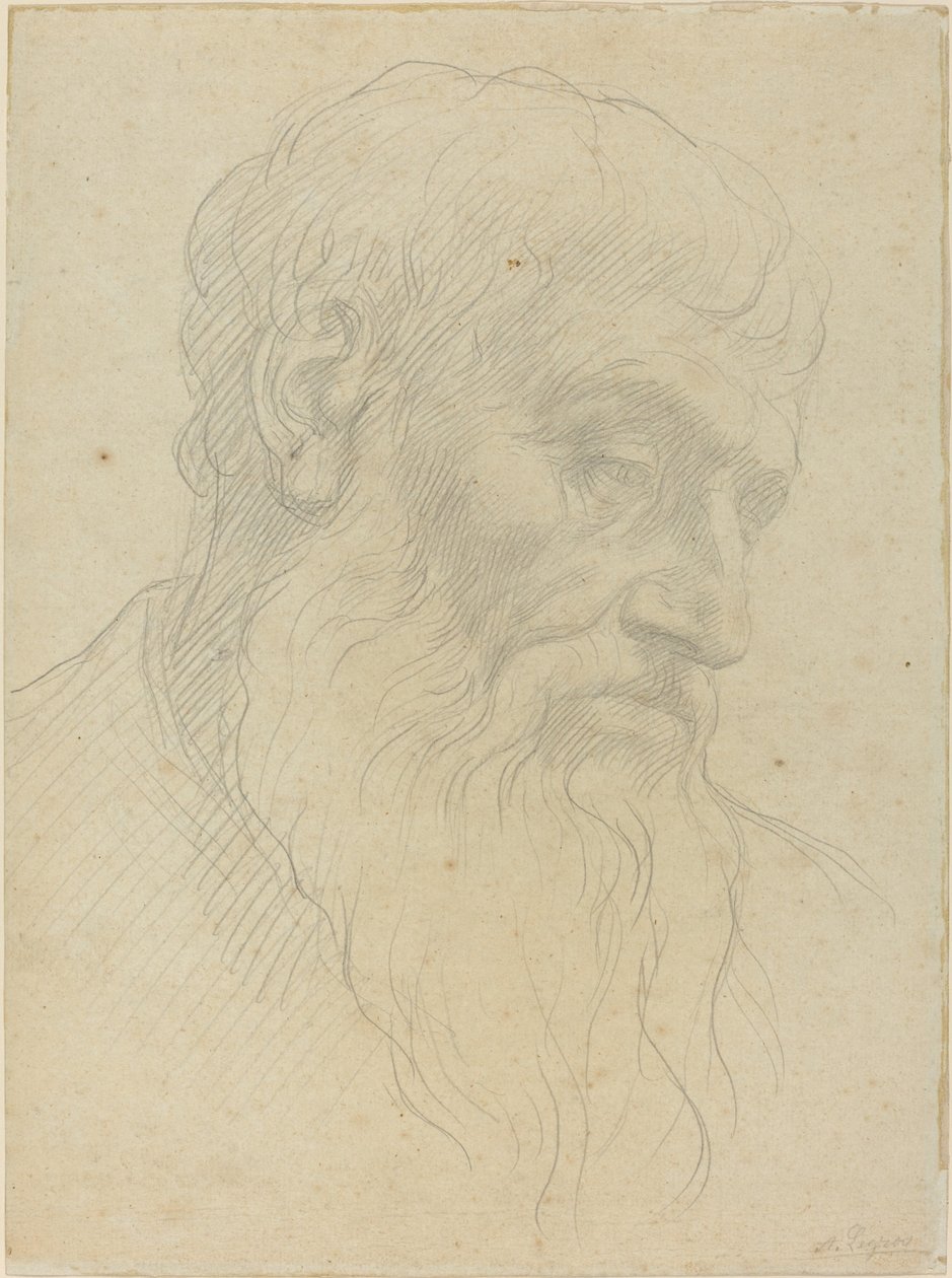 Studie av ett huvud av Alphonse Legros