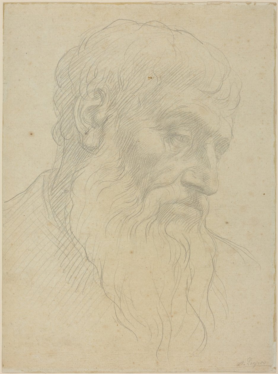Studie av ett huvud av Alphonse Legros
