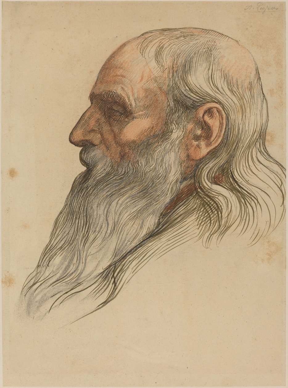 Studie av en mans huvud med helskägg av Alphonse Legros