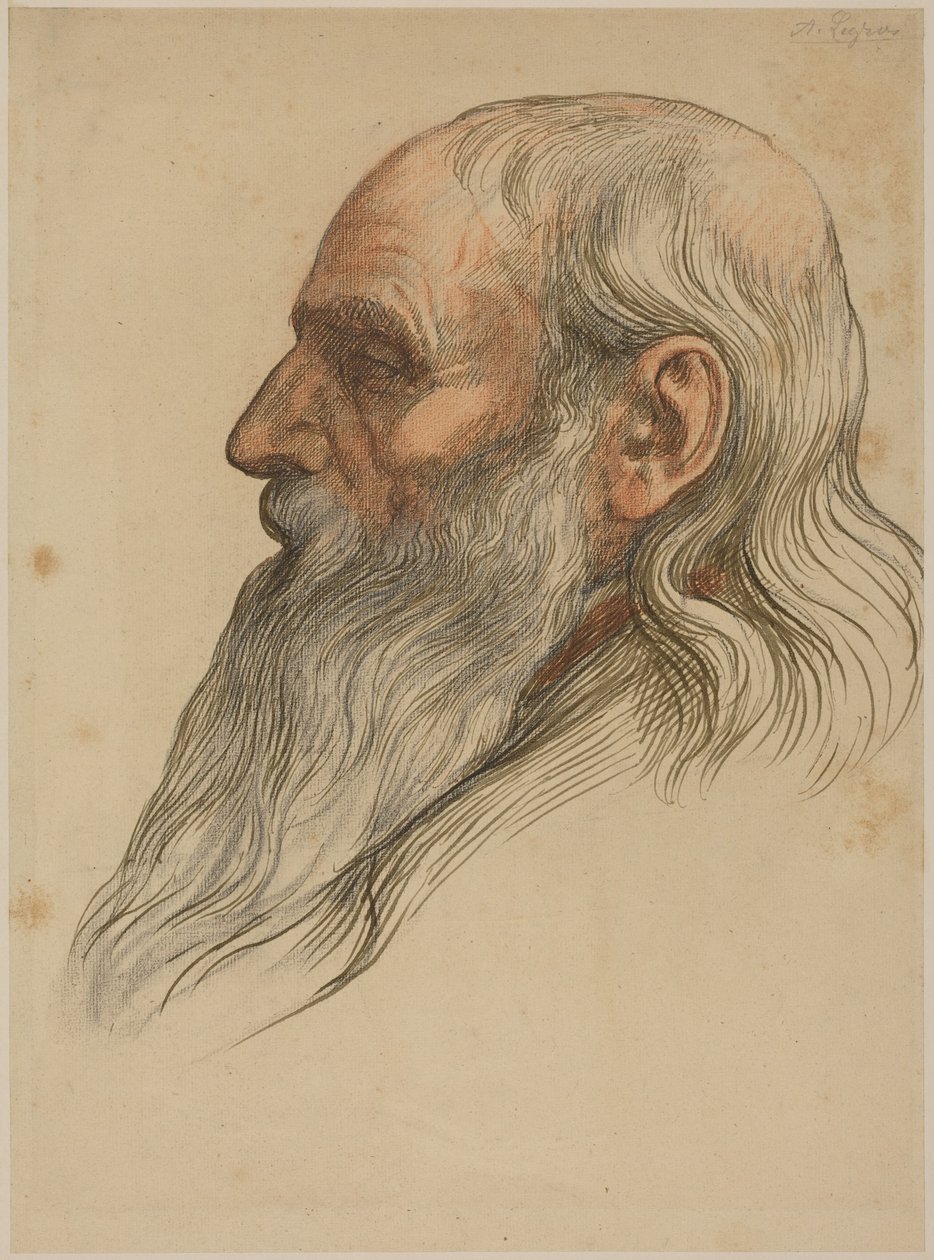 Studie av ett manshuvud med fylligt skägg av Alphonse Legros
