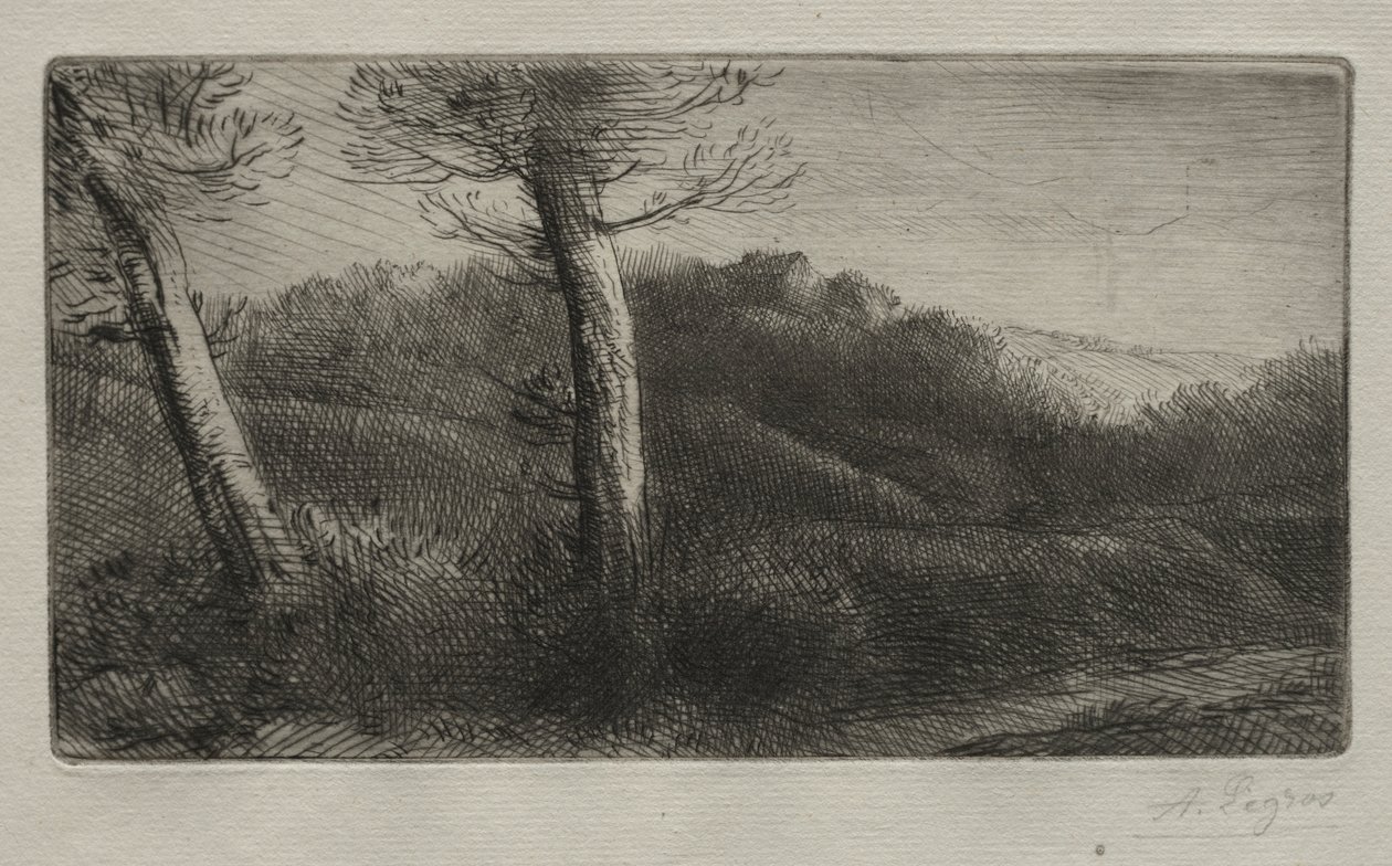 Resenären sträckte ut på gräset, ca. 1888. av Alphonse Legros